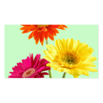 Gerbera Daisies Business Card Template