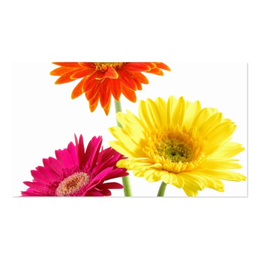 Gerbera Daisies Business Card Template