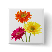 Gerbera Daisies Button