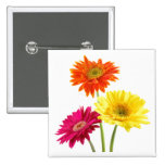 Gerbera Daisies Button
