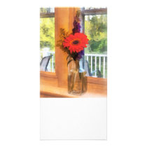 Gerbera Daisies by Kitchen Window photo cards