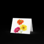 Gerbera Daisies Greeting Cards