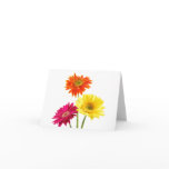 Gerbera Daisies Greeting Cards