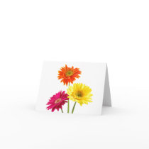 Gerbera Daisies Greeting Cards