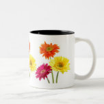 Gerbera Daisies Coffee Mug