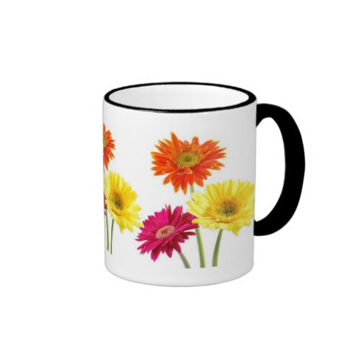 Gerbera Daisies Coffee Mugs