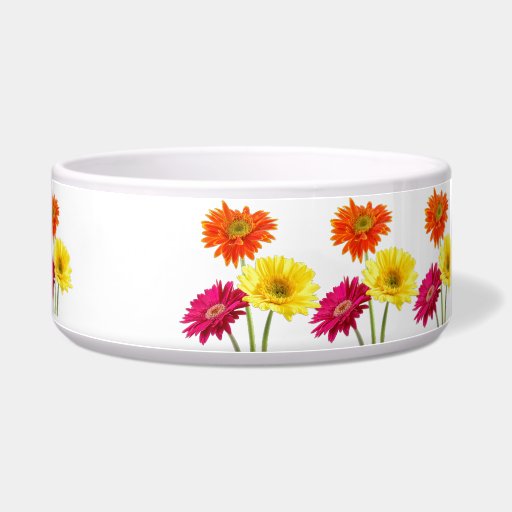 Gerbera Daisies Dog Water Bowl