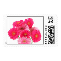 Gerbera daisies in Pink! postage by mamakin33 Gerbera daisies in Pink! postage