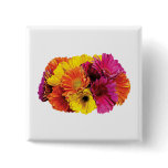 Gerbera Daisies Mixed Colors Pin