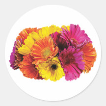 Gerbera Daisies Mixed Colors Round Stickers