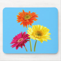 Gerbera Daisies Mouse Pads