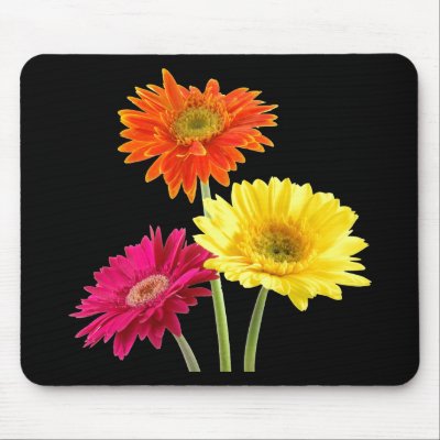 Gerbera Margaritas Mouse Pad por bonfirenature