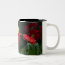 Gerbera Daisies Mug