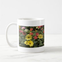 Gerbera Daisies Mug