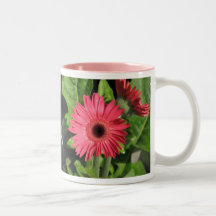 Gerbera Daisies - Pink and Orange Mugs