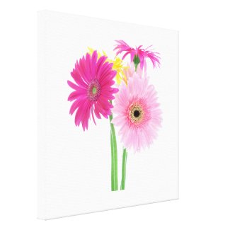 Flower Nature Posters, Prints and Art Pink Daisy
