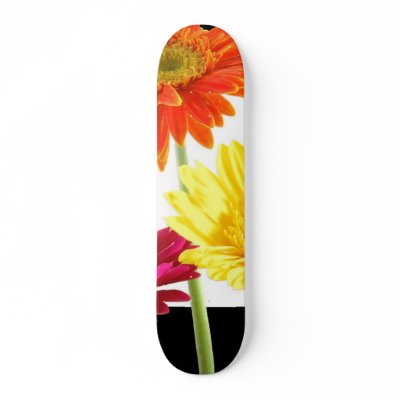 Gerbera Daisies Skateboards by bonfirenature
