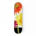 Gerbera Margaritas patineta by bonfirenature Gerbera Margaritas patineta