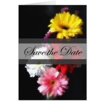 Gerbera Daisy 3 Save the Date Wedding Greeting Card