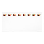 Gerbera Daisy And Two Roses Picture Card