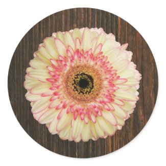 Gerbera Daisy & Barnwood Envelope Seal Sticker sticker