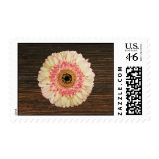 Gerbera Daisy & Barnwood Postage stamp