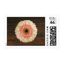 Gerbera Daisy & Barnwood Postage
