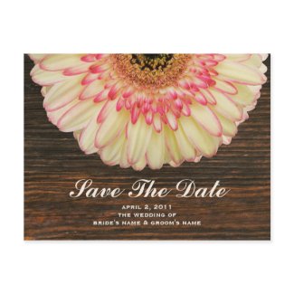 Gerbera Daisy & Barnwood Save The Date Postcard postcard