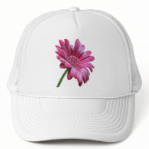 Gerbera Daisy Baseball Hat