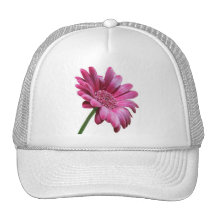 Gerbera Daisy Baseball Hat