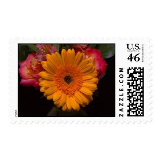 Gerbera Daisy Black Background Stamp zazzle_stamp