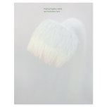 Gerbera Daisy Bud Letterhead