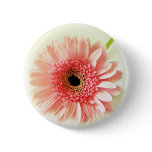 Gerbera Daisy Pins