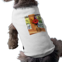 Gerbera Daisy by Kitchen Window pet clothing