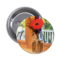 Gerbera Daisy by Kitchen Window buttons