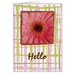 Gerbera Daisy Card
