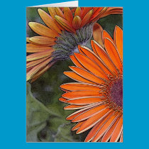Gerbera Daisy Card cards