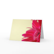 Gerbera Daisy Card
