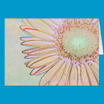 Gerbera Daisy Card