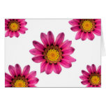 Gerbera Daisy Card