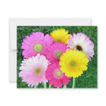 Gerbera Daisy Colors Custom Invitations