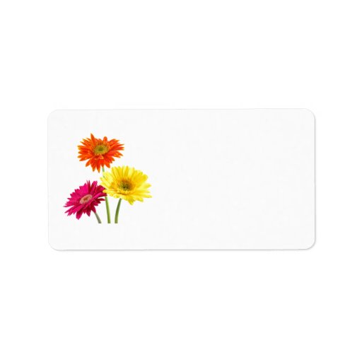 Gerbera Daisy Delight Address Label