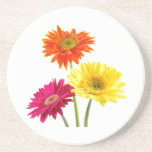 Gerbera Daisy Delight Beverage Coaster