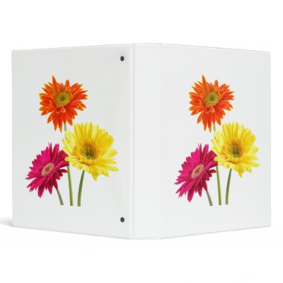 Gerbera Daisy Delight Binders