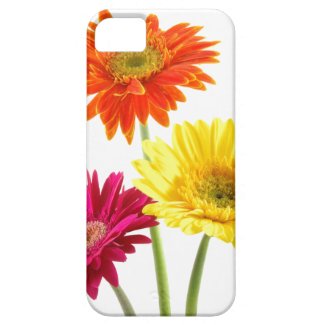 Sunflowers, Gerbera Daisies and Nature Gifts iPhones Gerbera Daisies speckcase