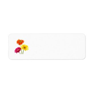Gerbera Daisy Delight Custom Return Address Label