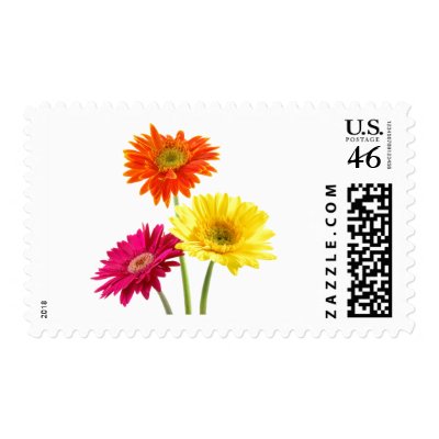 Gerbera Daisy Delight Stamps