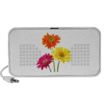 Gerbera Daisy Delight Portable Speakers