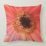 Gerbera Daisy Flower Pillow