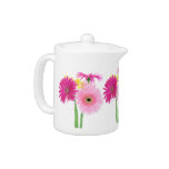 Gerbera Daisy Flowers